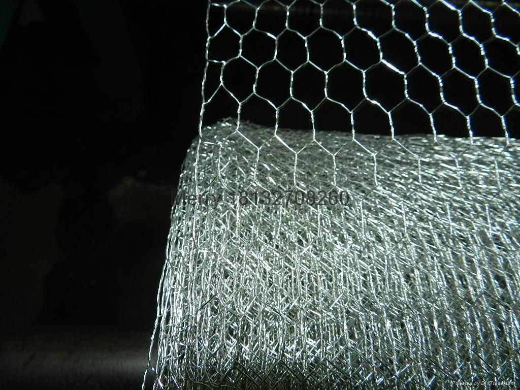 Hexagonal wire mesh 3