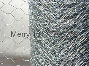 Hexagonal wire mesh 4