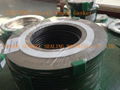 316/PTFE Spiral Wound Gasket 1