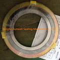 Nuclear Spiral Wound Gaskets 1