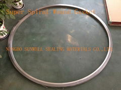 Super Spiral Wound Gasket