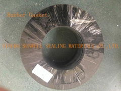 Rubber Gasket