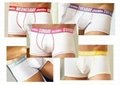 Aussiebum underwear gay jockstrap mens boxers 3