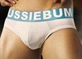 Aussiebum underwear gay jockstrap mens boxers 4