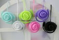 2015Lovely Design Rose Earbud Earphones with Mic