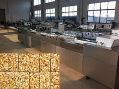 automatic groundnut brittle machine