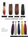 Ombre Color Human Hair Weft