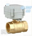 1 inch Brass Motorized Valve for Automatic Watering (T25-B2-B) 1