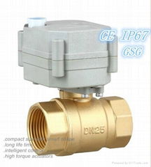 1 inch Brass Motorized Valve for Automatic Watering (T25-B2-B)