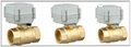1 inch Brass Motorized Valve for Automatic Watering (T25-B2-B) 2