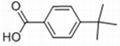 P-tert-Butylbenzoic acid