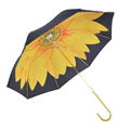 Top quality advertising umbrella 1