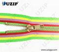 Fancy Dress Zipper 1