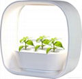 ZT01 LED mini garden indoor garden 1
