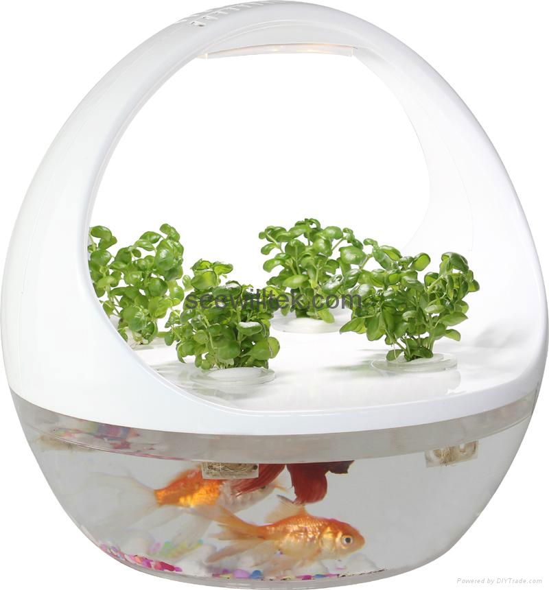 ZT04 LED mini garden fish tank with plant