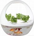 ZT04 LED mini garden fish tank with