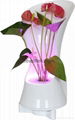 ZT08 LED mini garden wall lamp