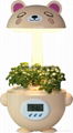 ZT09 LED mini garden with Timer children decoration