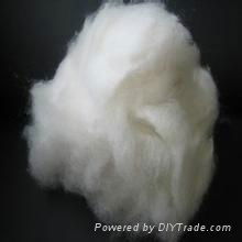 cashmere fiber