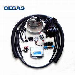 CNG/LPG convert kit (C10) for EFI car