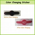Color Change Sticker 2