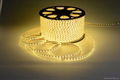 LED SMD flexible 220V lamp strip 5050 three chip 2