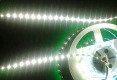 On sale LED SMD flexible lamp strip 12v 3014 