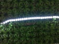 On sale 3014 240leds double color Dimmable