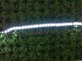 On sale 3014 240leds double color