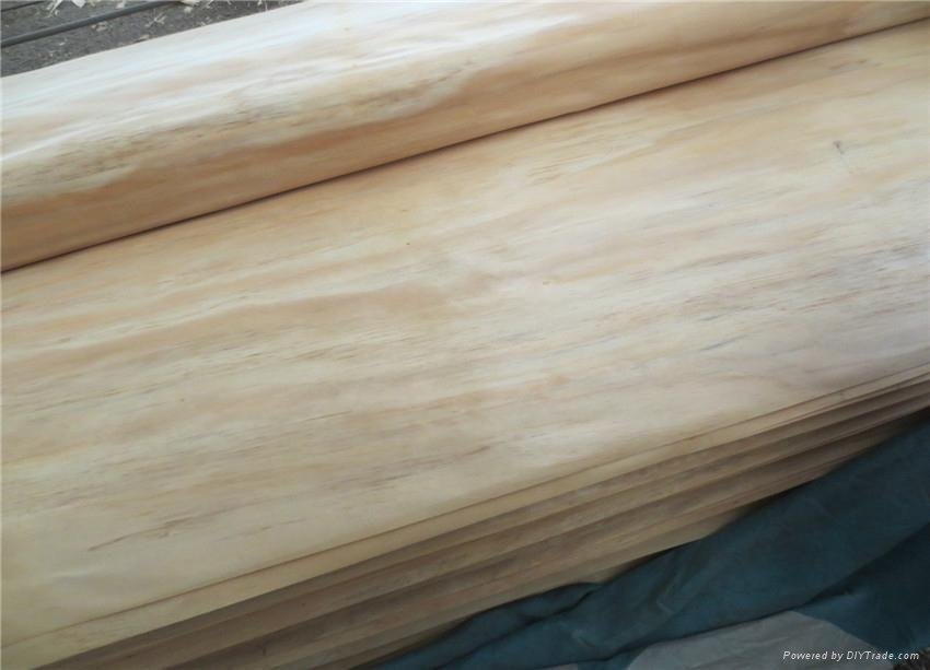 High quality face gradel poplar veneer