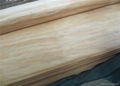 High quality face gradel poplar veneer