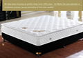 Pan Feng Jia Yuan Mattress 1