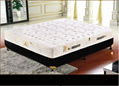 Pan Feng Jia Yuan Mattress 1