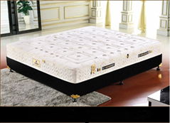 Pan Feng Jia Yuan Mattress