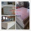 Osha LVL Scaffold Board for Scaffolding 1