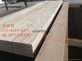 Osha LVL Scaffold Board for Scaffolding 2