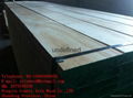 pine/poplar  LVL Scaffold Board