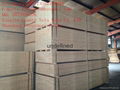 Best Price High Quality Pine LVL Scaffold Board 38*225*3900mm 3