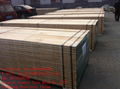 pine lvl scaffolding boards 1