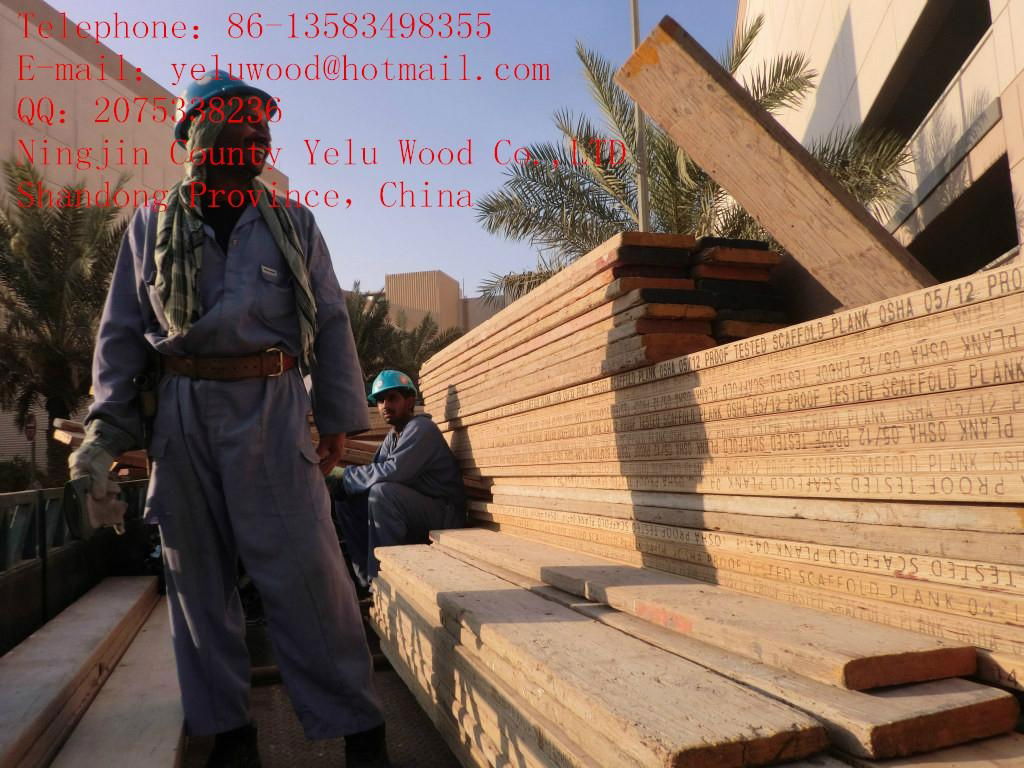 BS Pine LVL Scaffolding Board for Middle -east Market 4