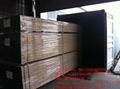 OSHA pine LVL scaffolding board for Construction project 3