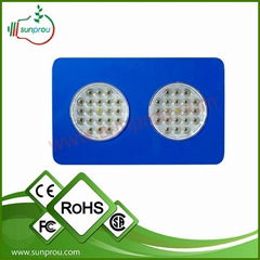 High power 80w Apollo led grow light