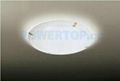 LED Ceiling Lamps 2