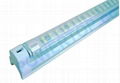 LED Tubes 3