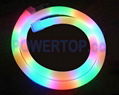 LED Neon Flex Lights 1