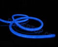 LED Neon Flex Lights 4