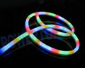 LED Neon Flex Lights 3