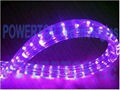 LED Rope Lights 4