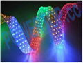 LED Rope Lights 5