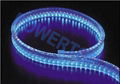 LED Rope Lights 3